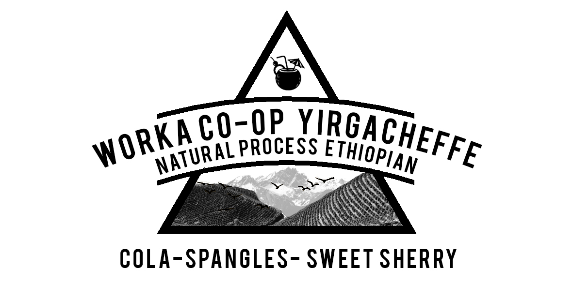 Ethiopian Yirgacheffe Worka Co-operative natural process