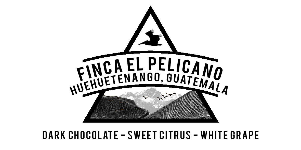 GUATEMALA FINCA EL PELICANO COFFEE