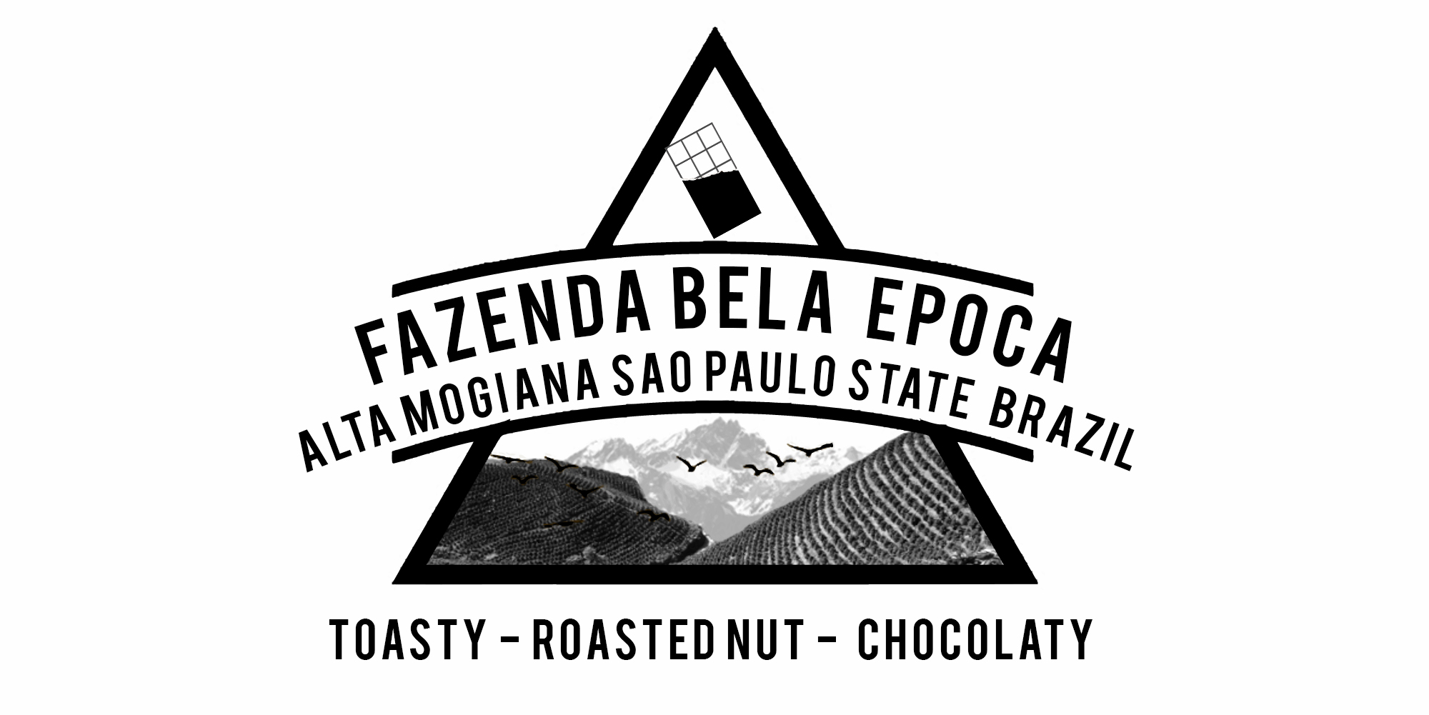 BRAZIL BELA EPOCA FARM COFFEE