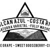 Costa Rica Volcan Azul Fully Washed 
