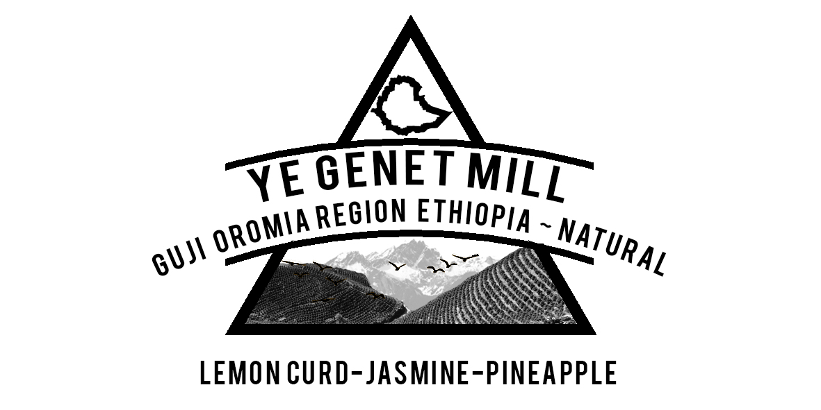 ETHIOPIA YE GENET, GUJI COFFEE