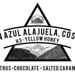 Costa Rica Volcan Azul Yellow Honey H3 Coffee Varietal