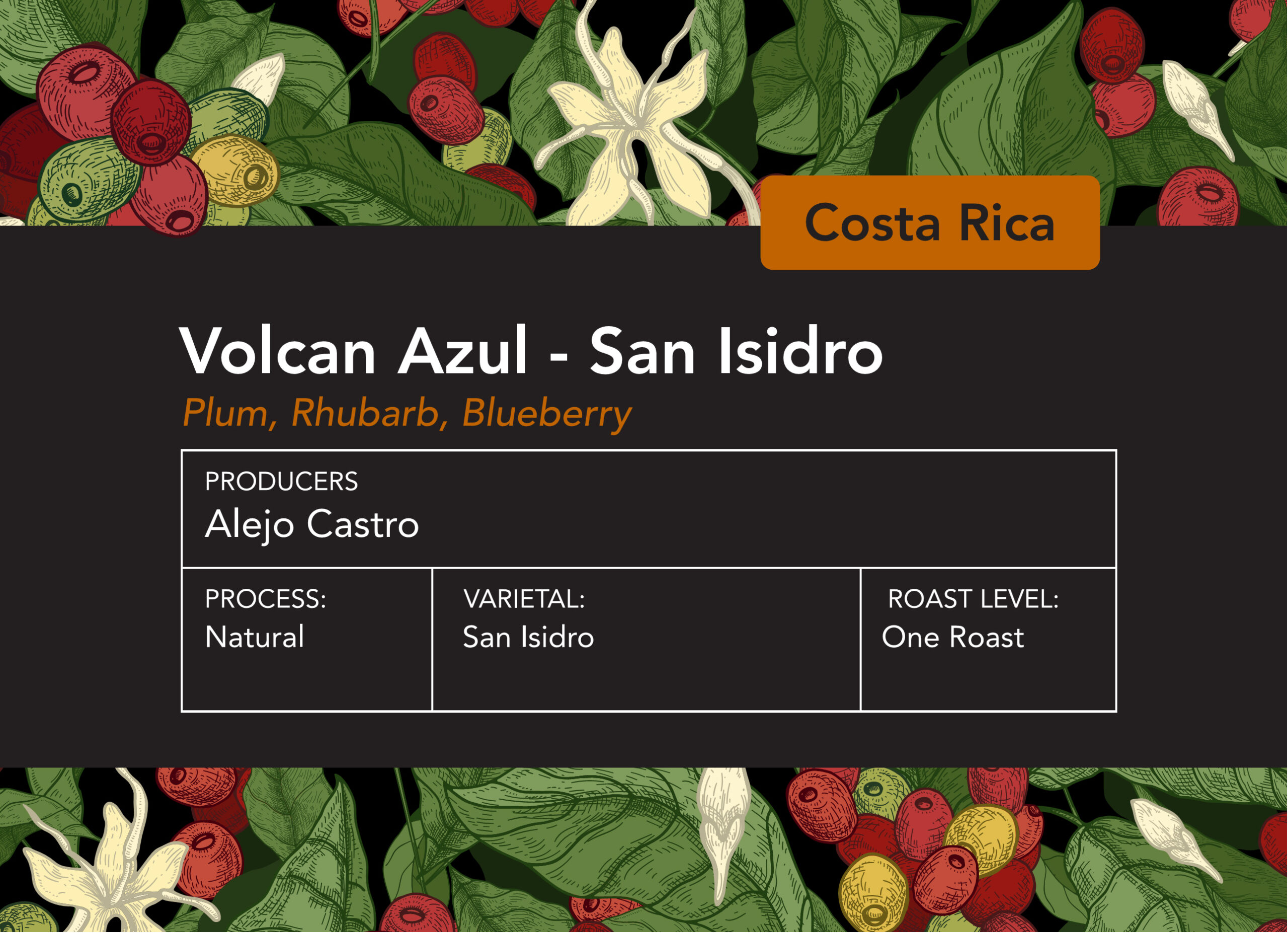 Costa Rica Volcan Azul San Isidro Natural