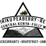 Kenya Thiriku Peaberry