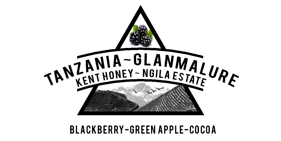 TANZANIA glanmalure KENT HONEY