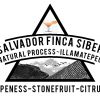 EL SALVADOR FINCA SIBERIA ANAEROBIC NATURAL
