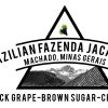 FAZENDA JACARANDA ORGANIC 2022