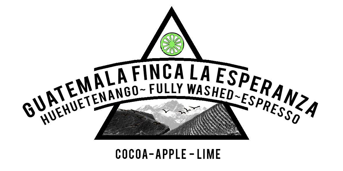 Guatemala Finca La Esperanza Espresso Roast