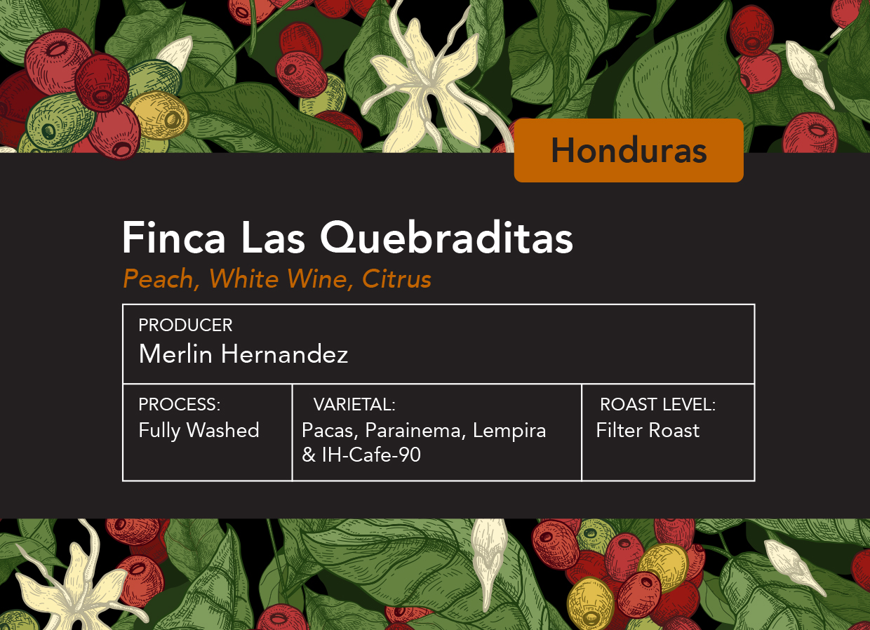 Honduras Finca Las Quebraditas