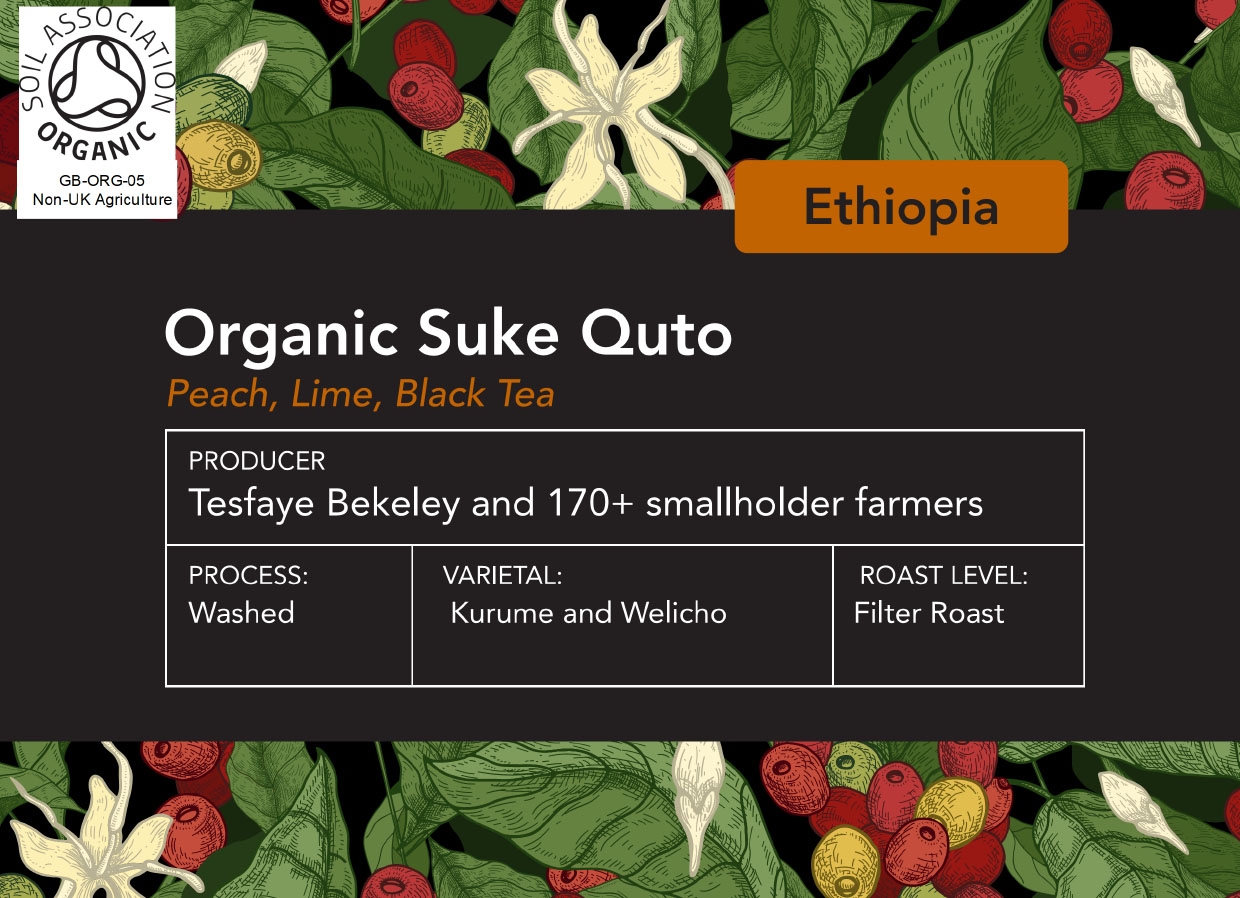 Organic Ethiopian Suke Quto Fully Washed