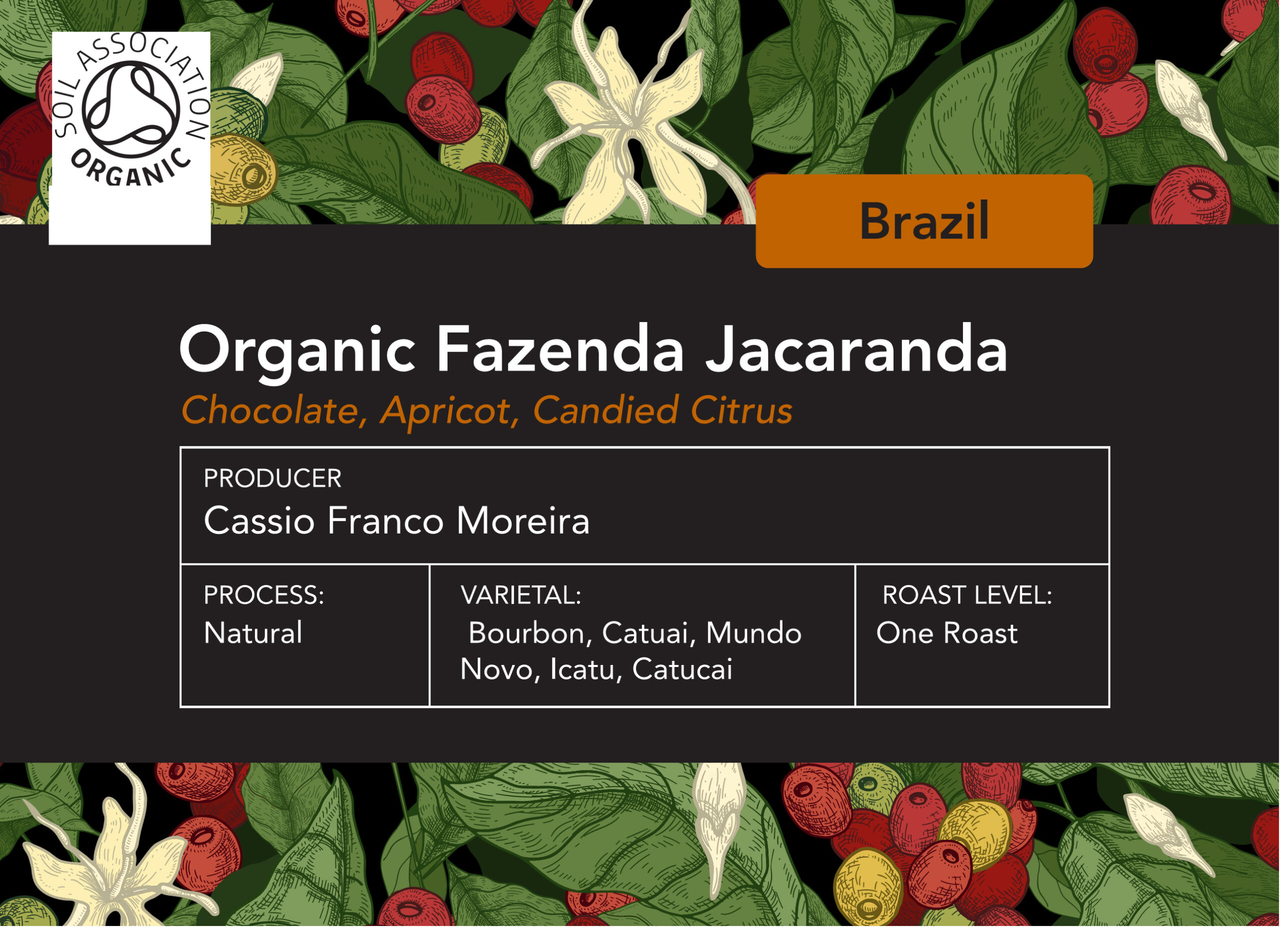 Organic Jacaranda