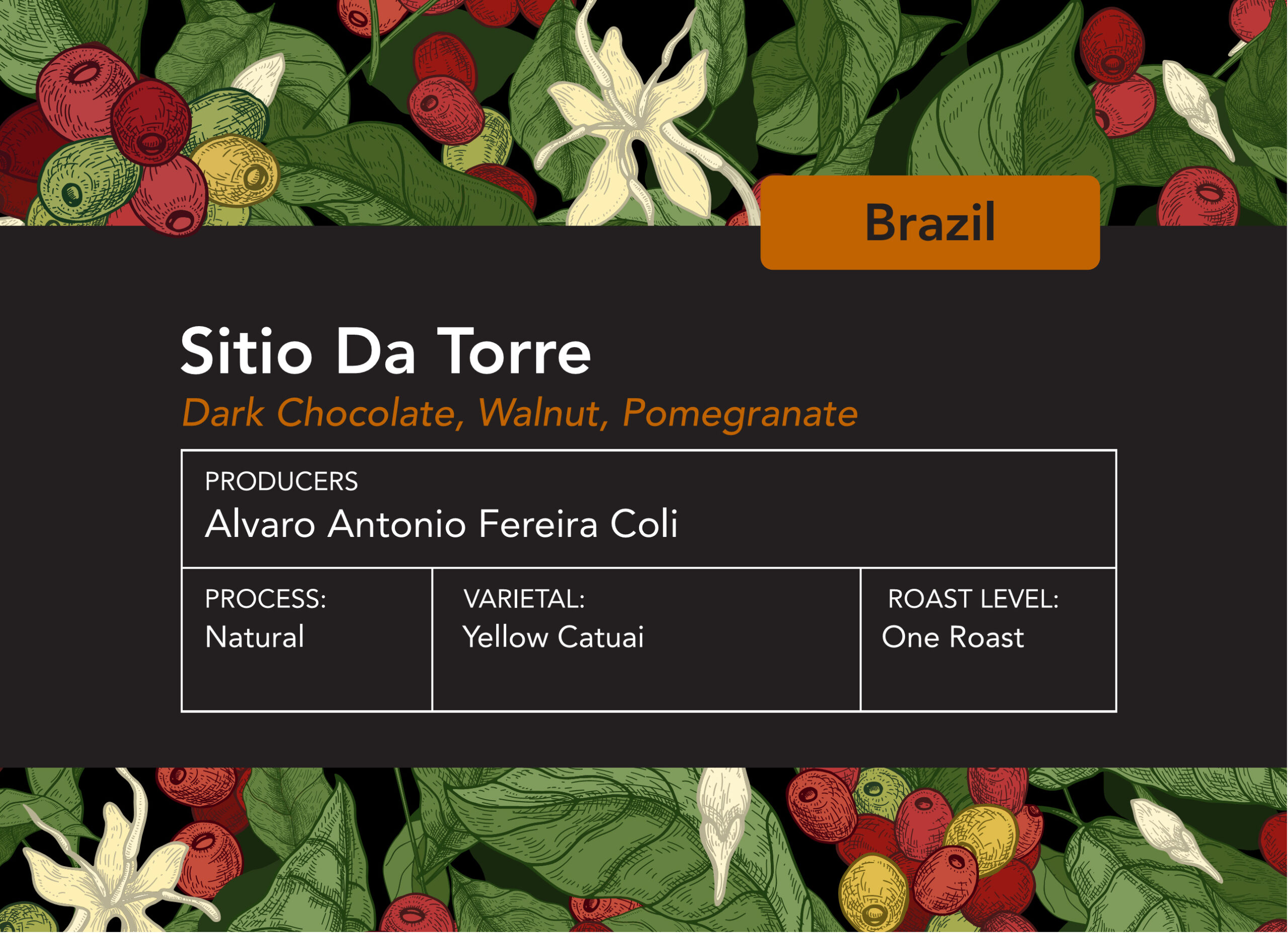 Brazilian Sitio Da Torre One Roast