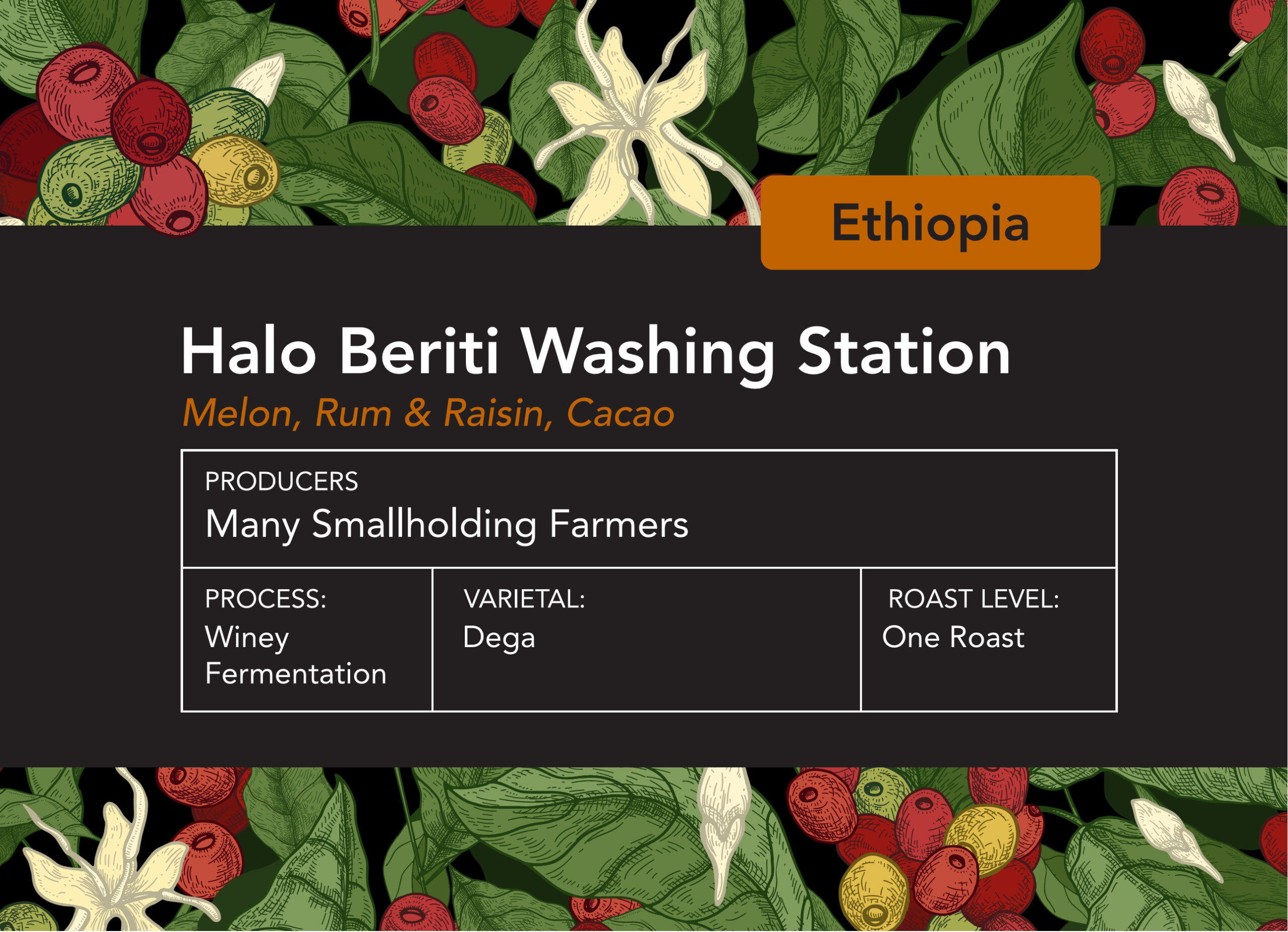 Ethiopian Halo Beriti One Roast