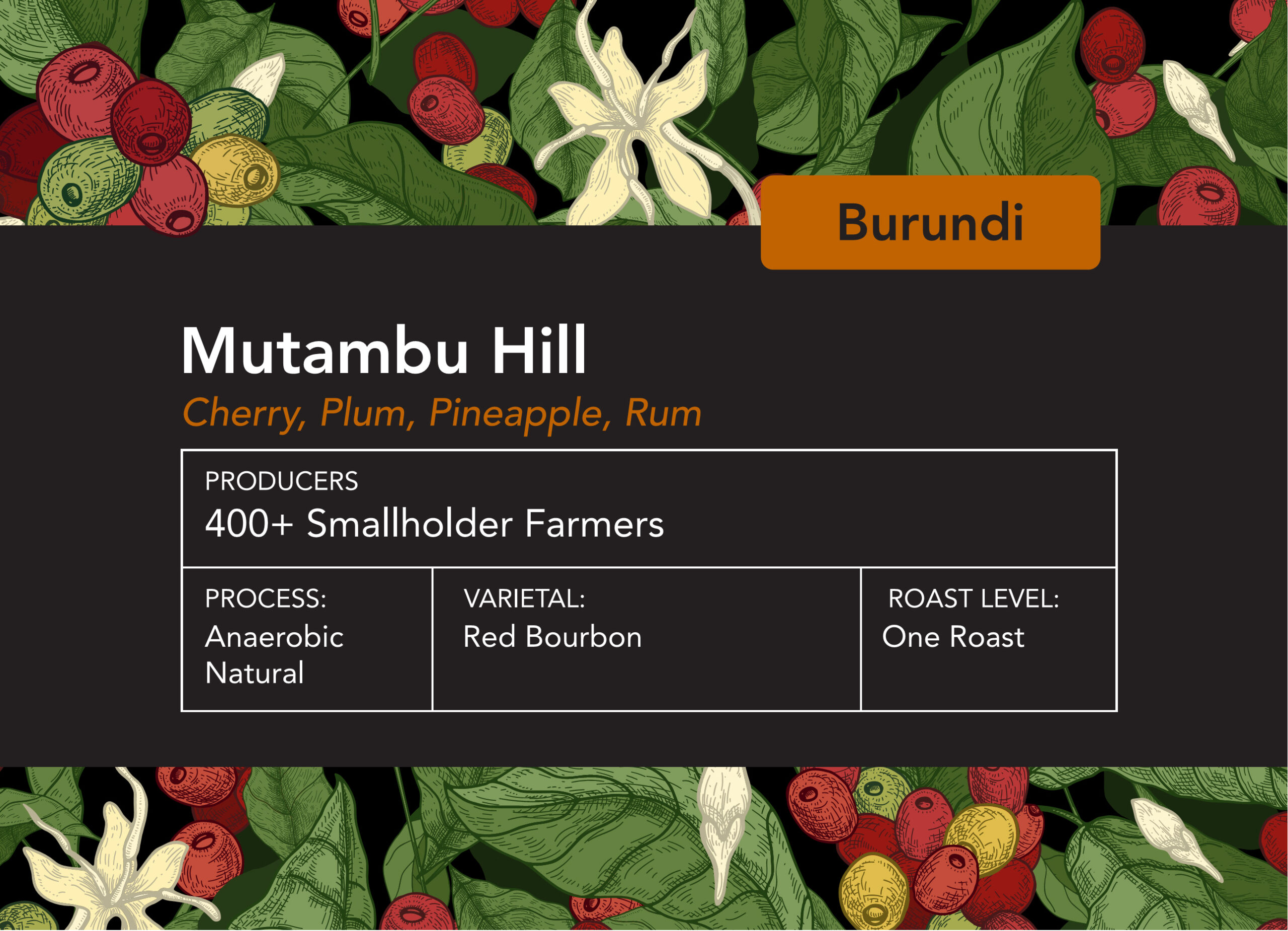 Burundi Mutambu Hill Anaerobic