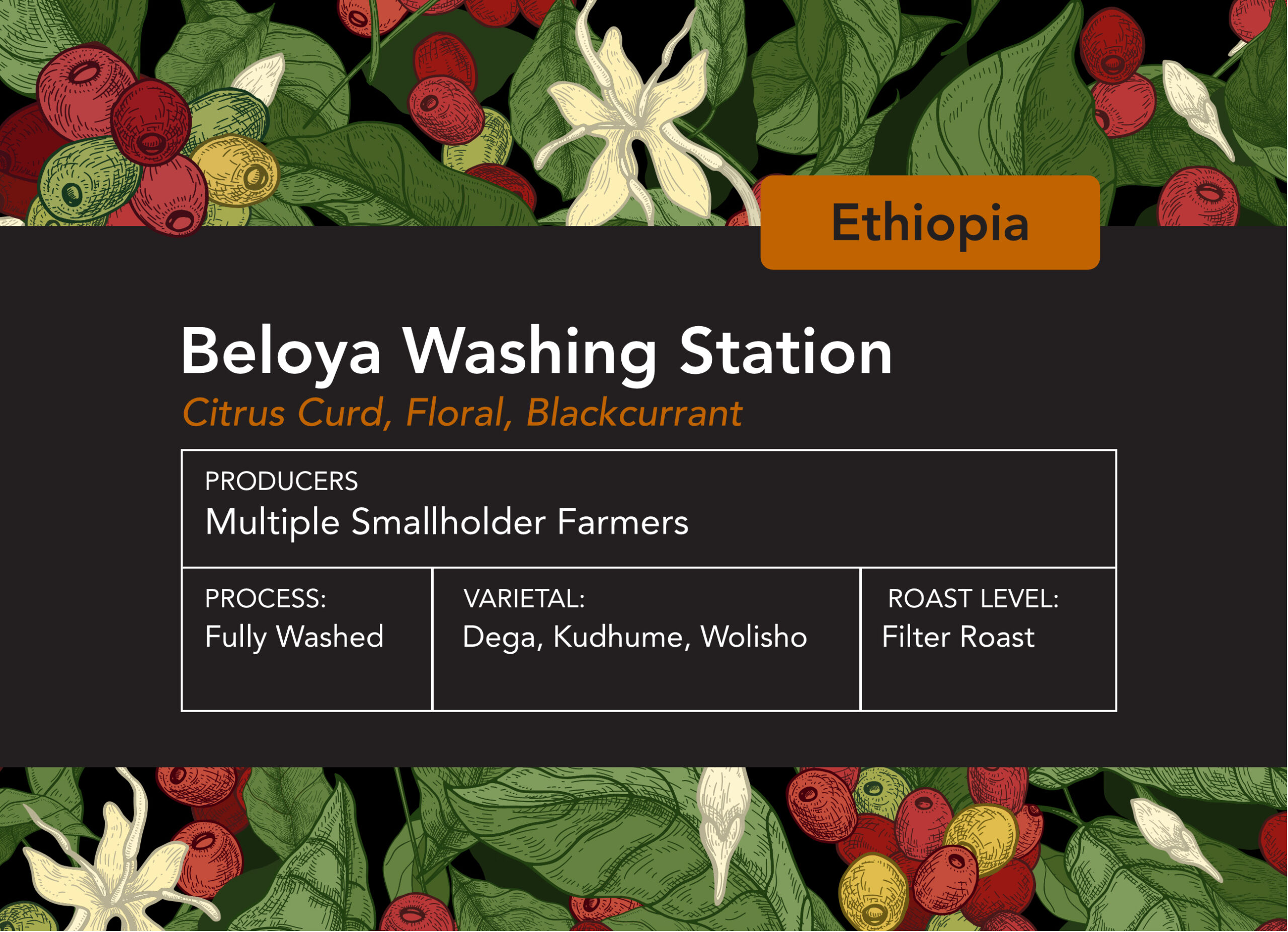 Ethiopian Beloya Washing Station