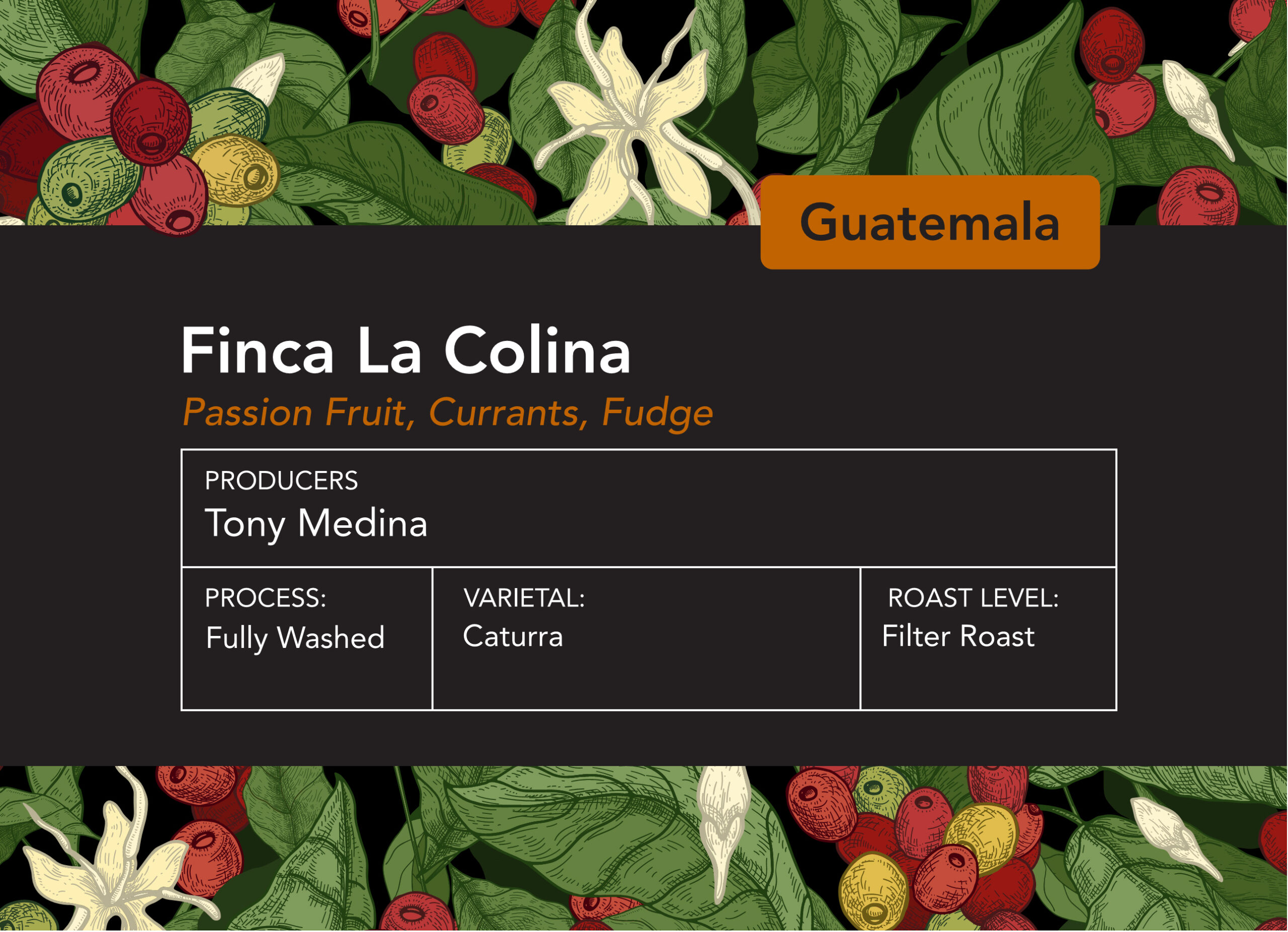 Guatemala Finca La Colina Filter Roast