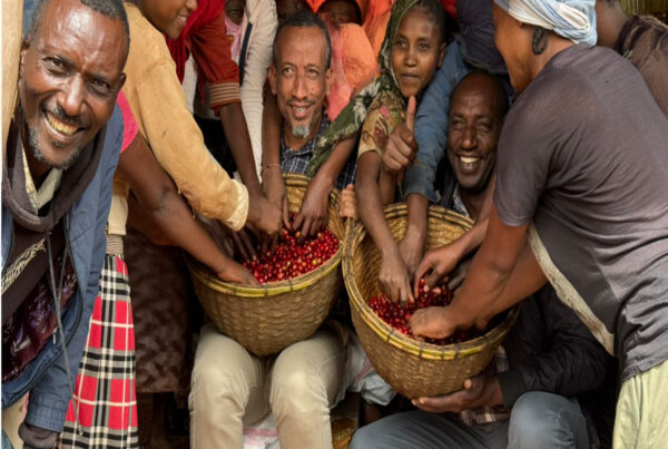 Ethiopian Coffee