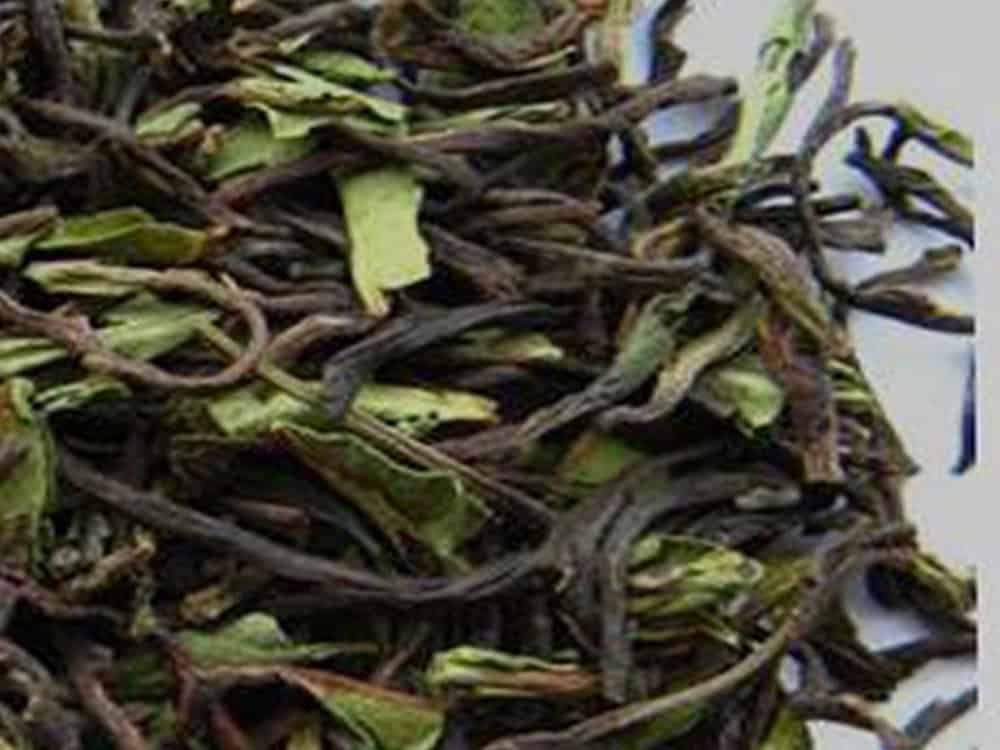 Indian Nilgiri Frost Tea