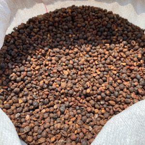 Excelsa Double Fermented Coffee sq