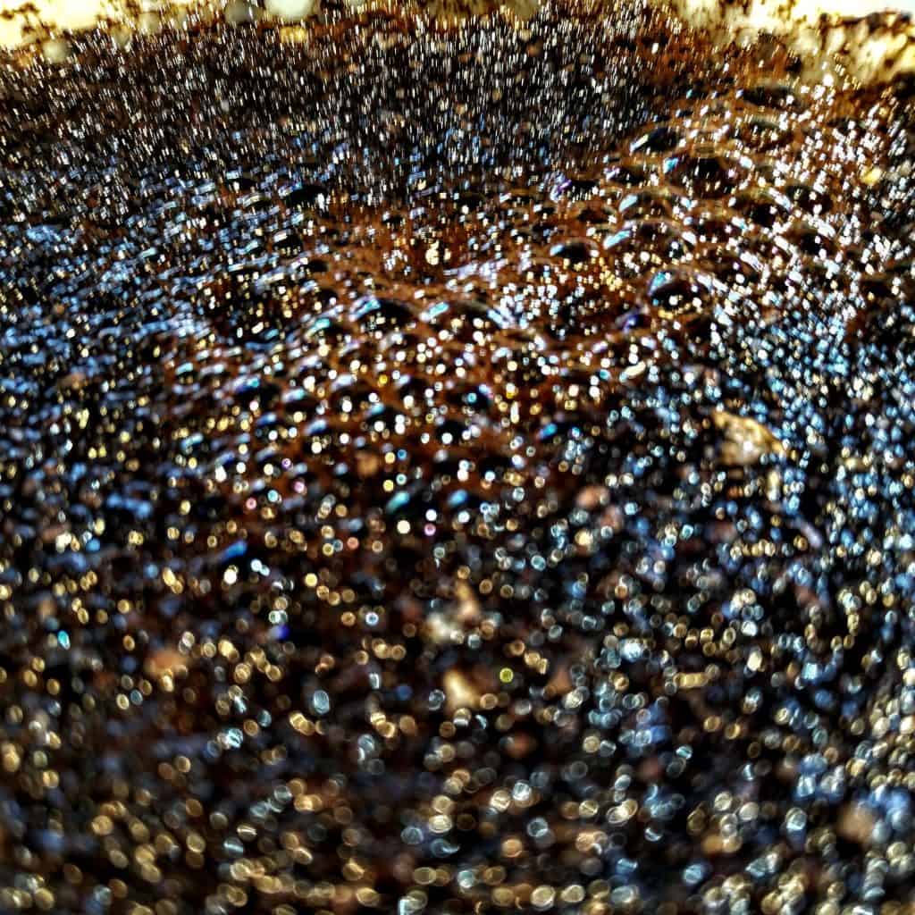 Coffee Bloom, tasting coffee processes