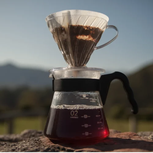 Keep the Sunshine in your coffee cup, all year long.
