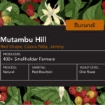 Burundi Mutambu Hill Natural One Roast