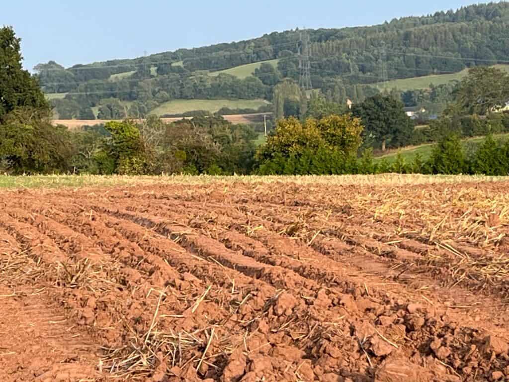 Regenerative Agriculture