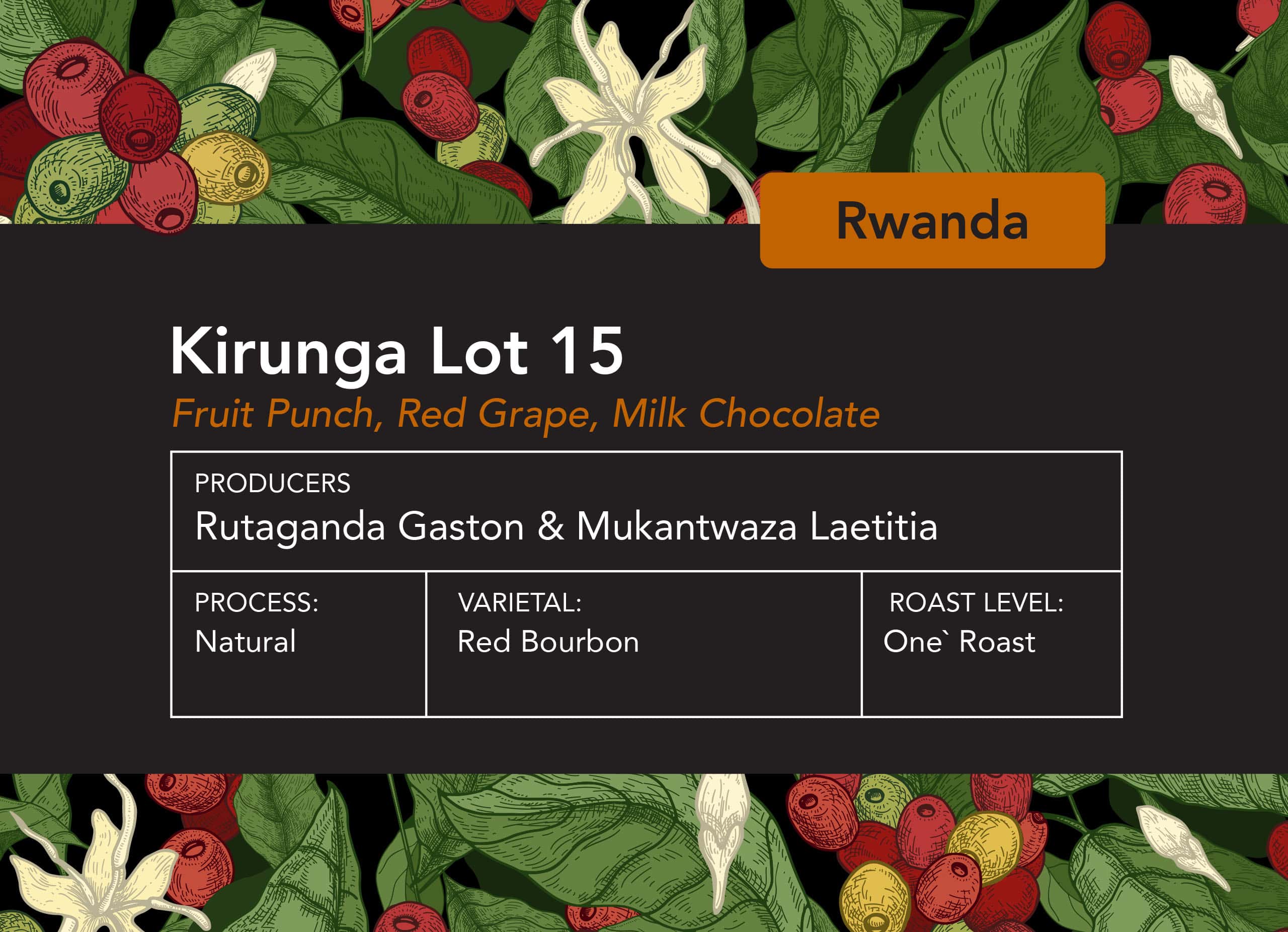 Kirunga is a very high grown red bourbon coffee from Rwanda,. This lot is natural processed and very ripe and fruity.