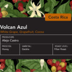 Costa Rica Volcan Azul Geisha