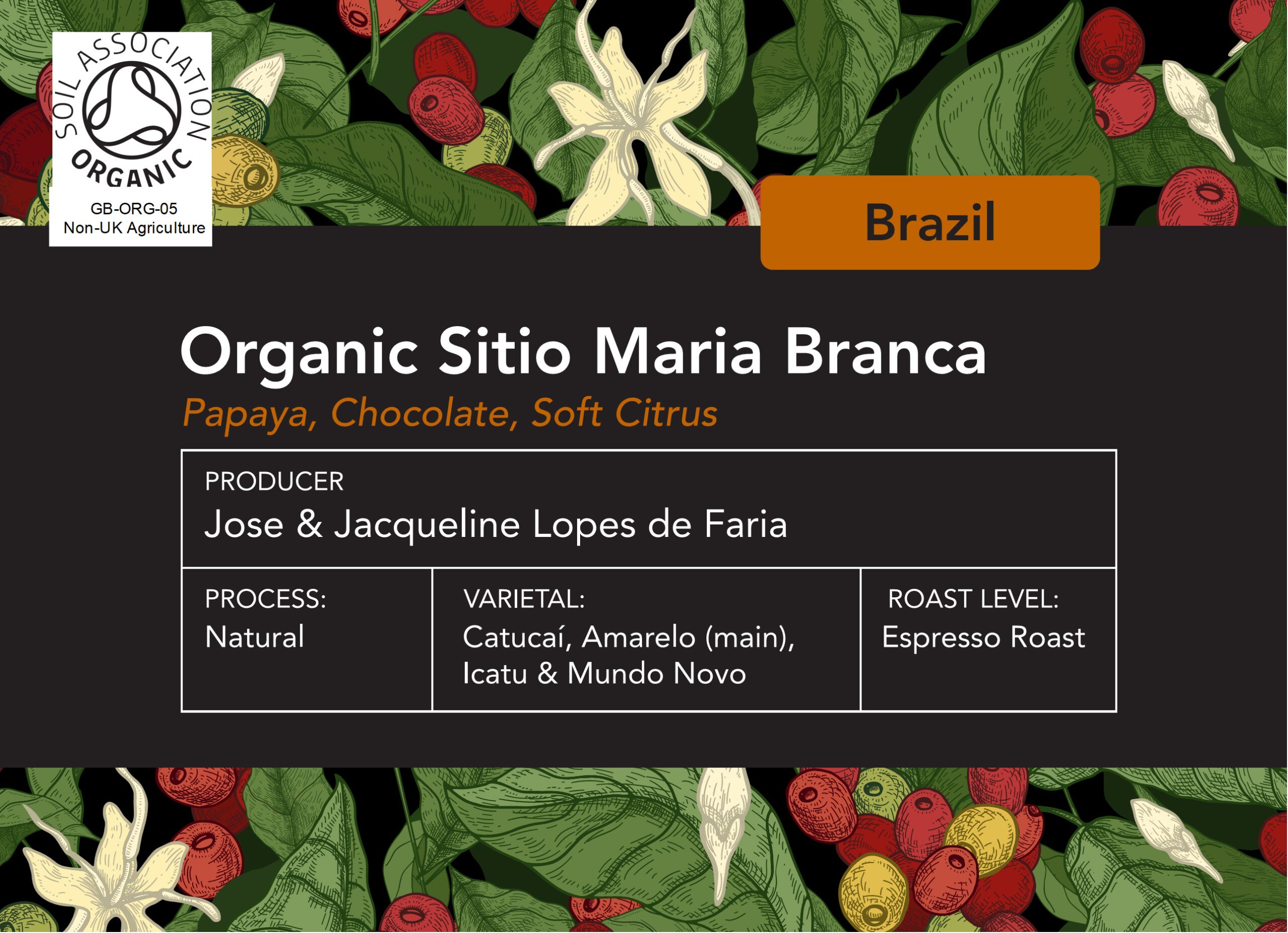 Organic Brazilian Maria Branca Espresso