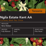 Tanzania Ngila Estate Filter
