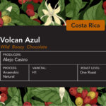 Costa Rica Volcan Azul Anearobic