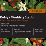 Ethiopian Beloya Washing Station