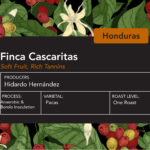Honduras Finca Cascaritas Barolo