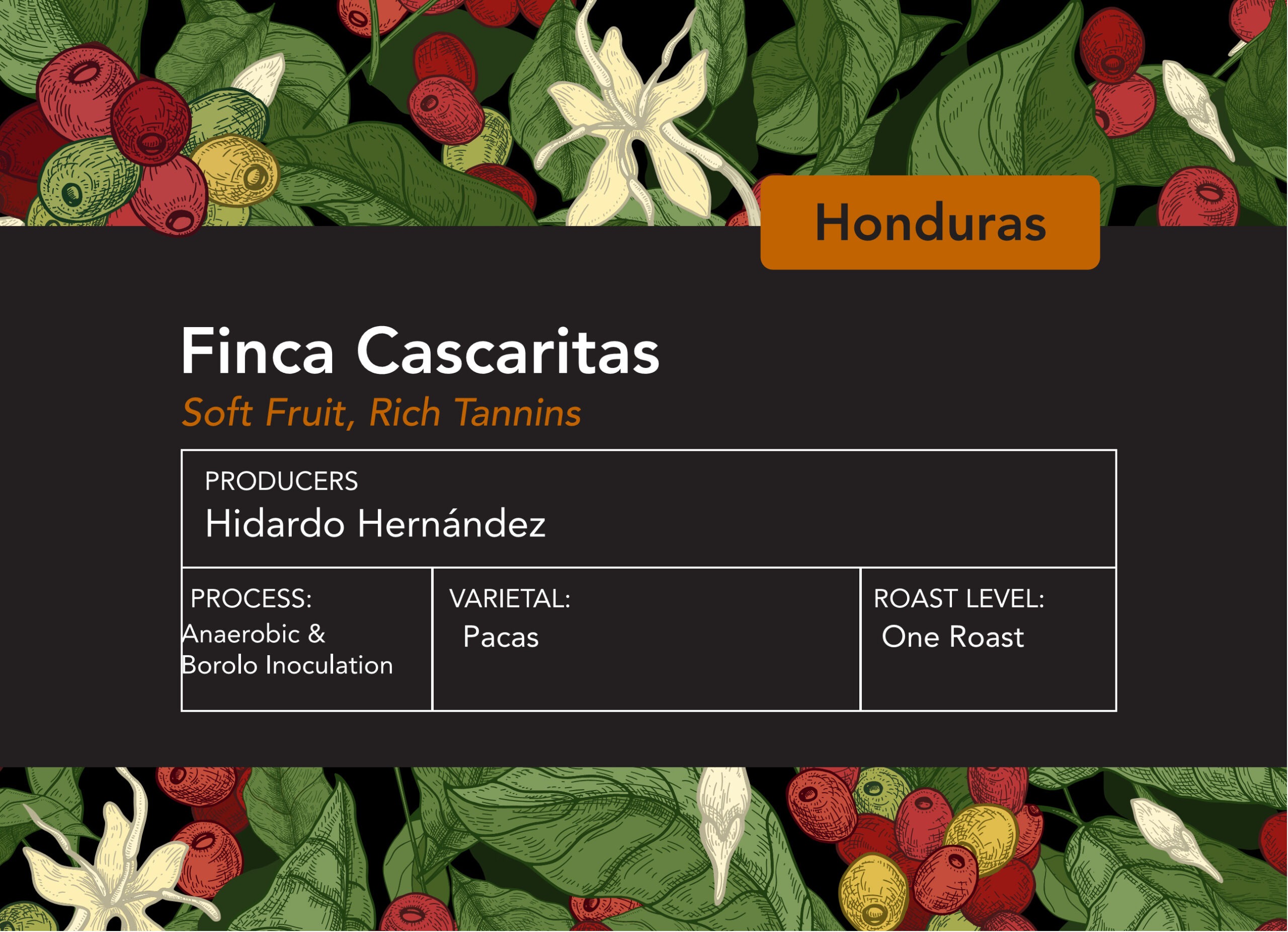 Honduras Finca Cascaritas Barolo