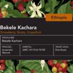Ethiopian Bekele Kachara