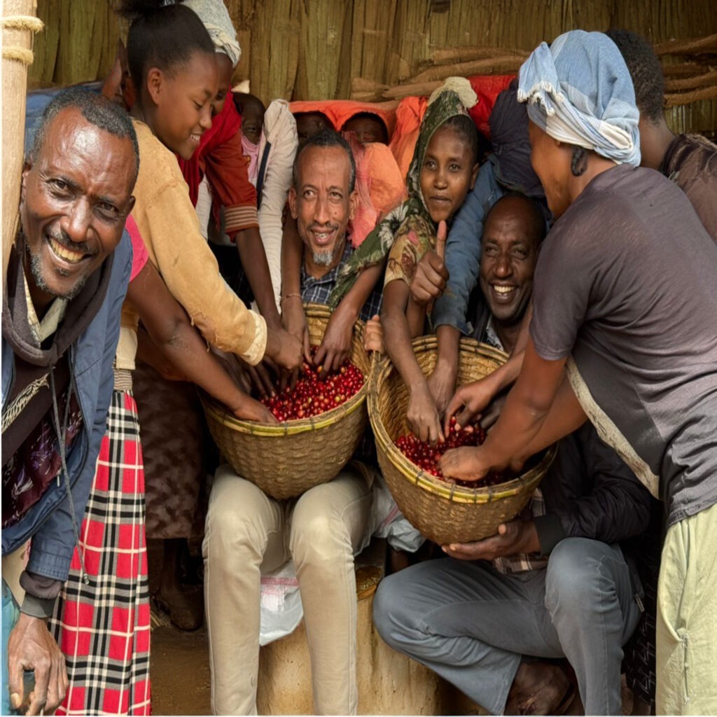 Ethiopian Coffee
