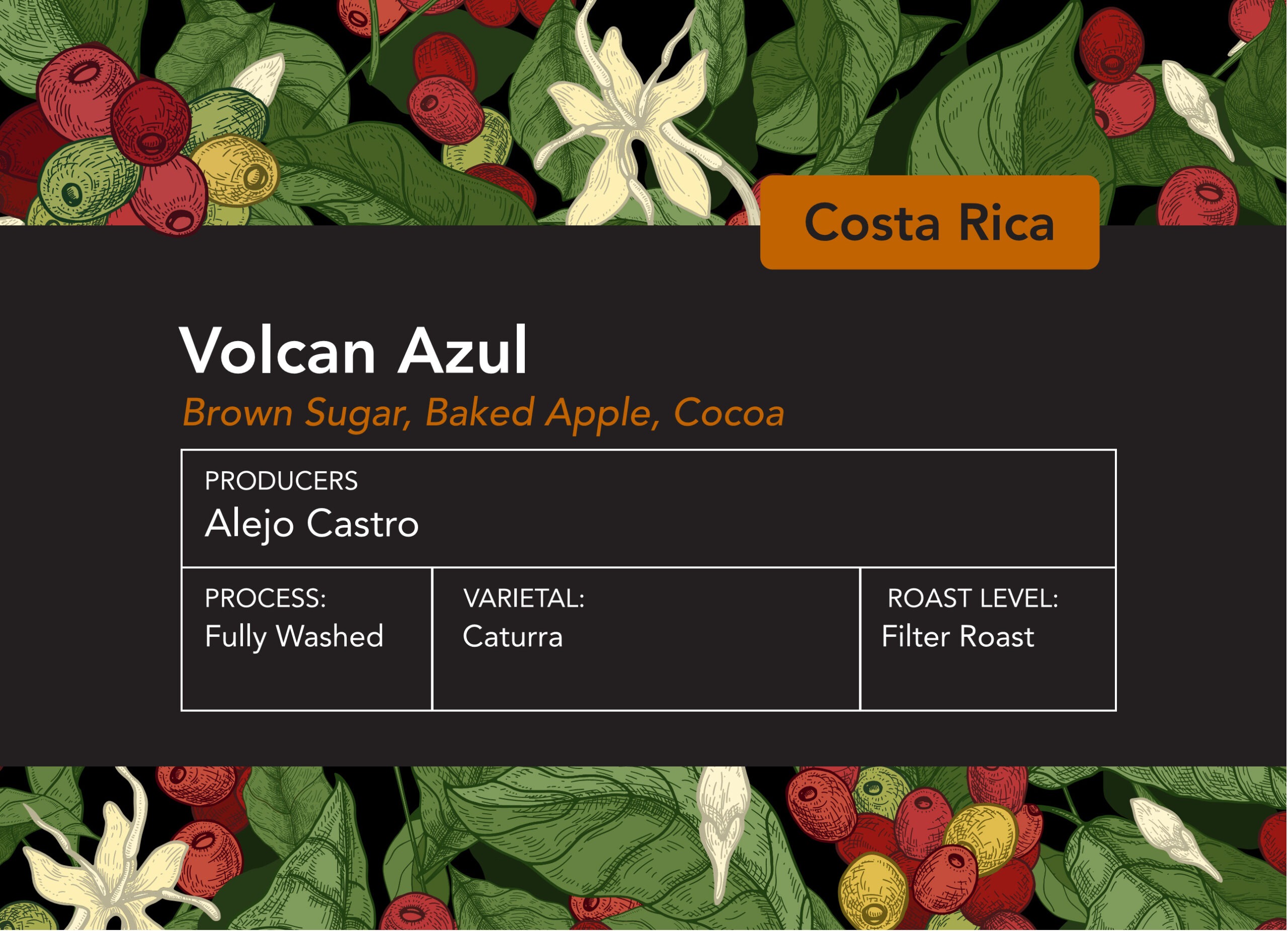 Simple, delicious, light roasted Costa Rican Filter coffee