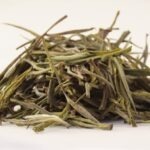 Nilgiri Slender