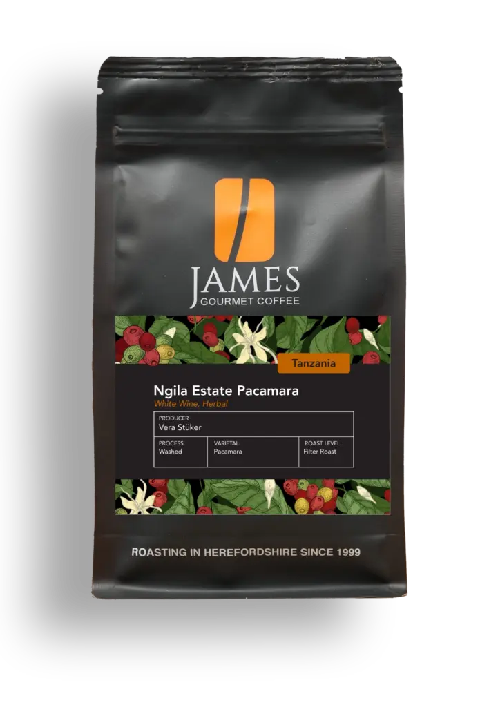 Tanzania Ngila Estate Pacamara Filter